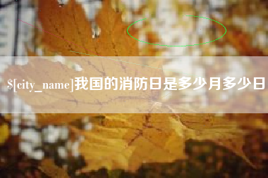 三沙我国的消防日是多少月多少日