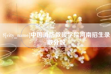 三沙中国消防救援学院河南招生录取分数