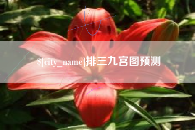 三沙排三九宫图预测