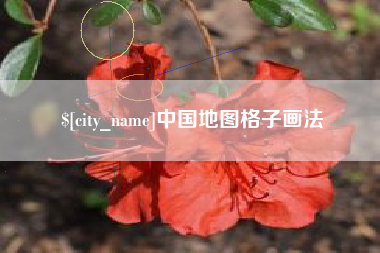 三沙中国地图格子画法
