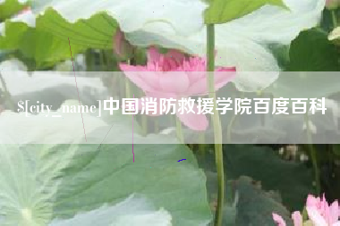 三沙中国消防救援学院百度百科
