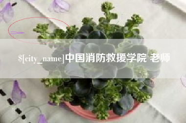 三沙中国消防救援学院 老师