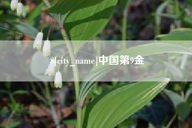 三沙中国第9金
