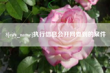 三沙执行信息公开网查到的案件