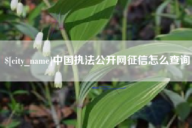 三沙中国执法公开网征信怎么查询