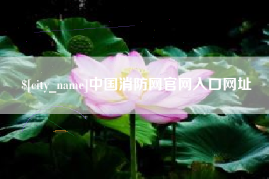 三沙中国消防网官网入口网址