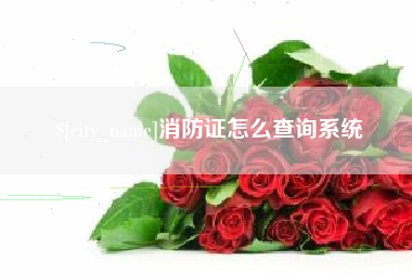 三沙消防证怎么查询系统