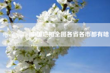 三沙中国地图全图各省各市都有啥