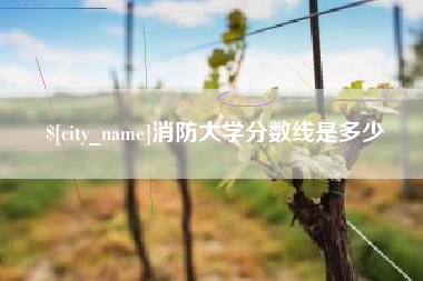 三沙消防大学分数线是多少