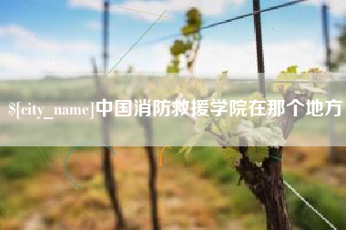 三沙中国消防救援学院在那个地方