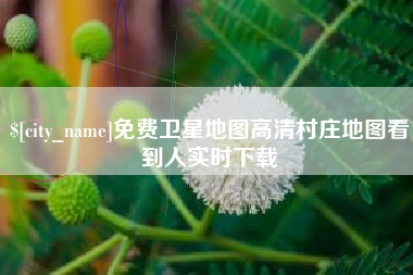 三沙免费卫星地图高清村庄地图看到人实时下载
