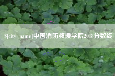 三沙中国消防救援学院2018分数线