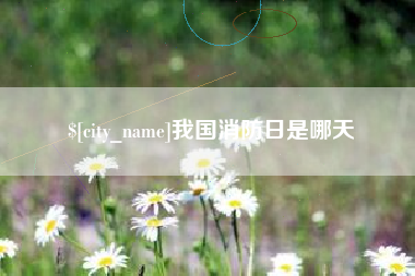 三沙我国消防日是哪天