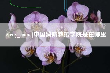 三沙中国消防救援学院是在哪里