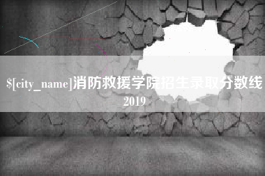 三沙消防救援学院招生录取分数线2019