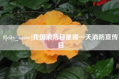 三沙我国消防日是哪一天消防宣传日