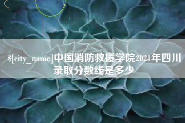 三沙中国消防救援学院2021年四川录取分数线是多少