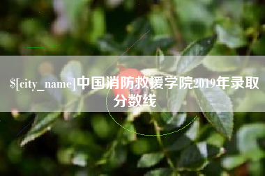 三沙中国消防救援学院2019年录取分数线