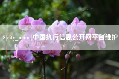 三沙中国执行信息公开网平台维护