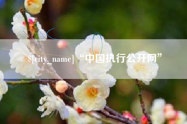 三沙“中国执行公开网”