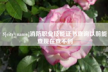 三沙消防职业技能证书查询以前能查现在查不到