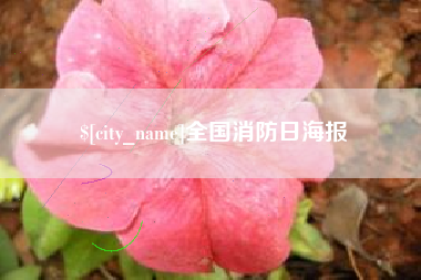 三沙全国消防日海报