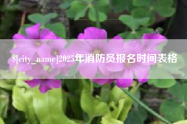 三沙2025年消防员报名时间表格