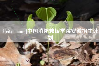 三沙中国消防救援学院安徽招生计划