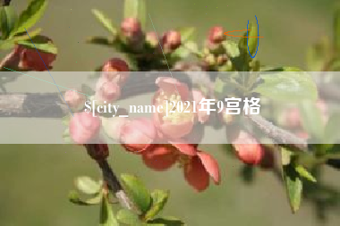三沙2021年9宫格