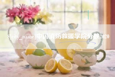 三沙中国消防救援学院分数2020