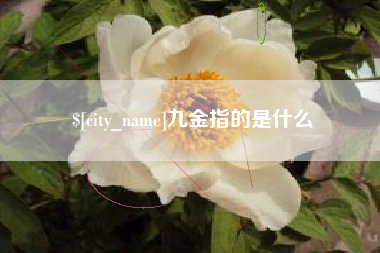 三沙九金指的是什么