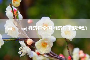 三沙消防日全国消防日主题活动