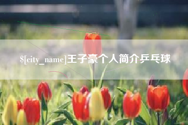 三沙王子豪个人简介乒乓球