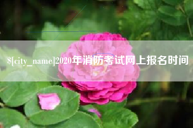 三沙2020年消防考试网上报名时间