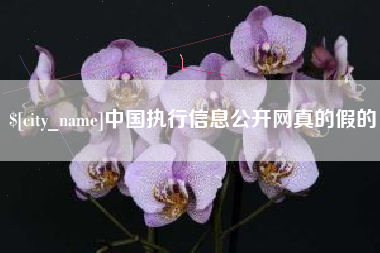 三沙中国执行信息公开网真的假的