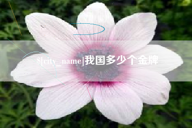 三沙我国多少个金牌