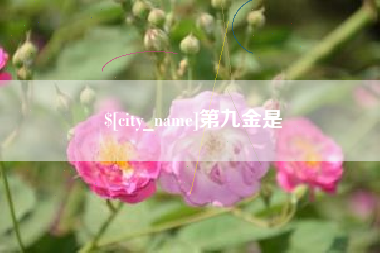三沙第九金是