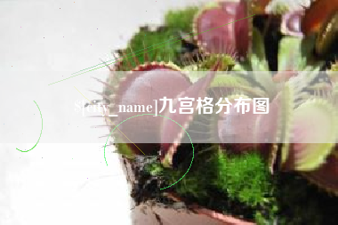 三沙九宫格分布图
