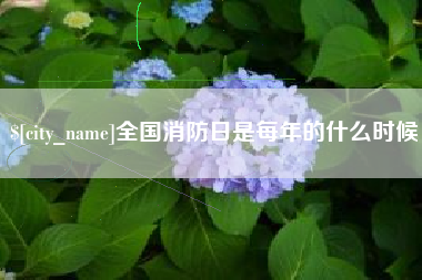 三沙全国消防日是每年的什么时候