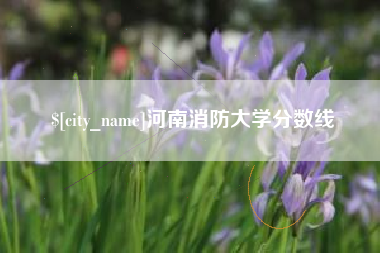 三沙河南消防大学分数线