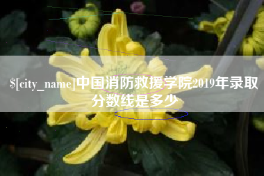 三沙中国消防救援学院2019年录取分数线是多少