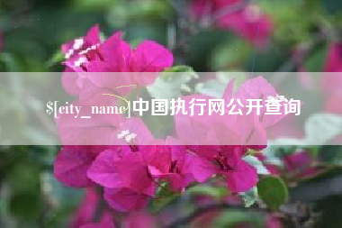 三沙中国执行网公开查询