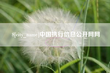 三沙中国执行信息公开网网