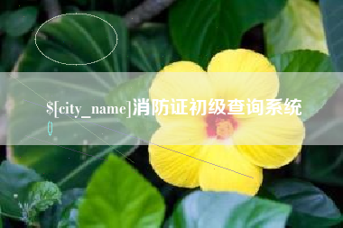 三沙消防证初级查询系统