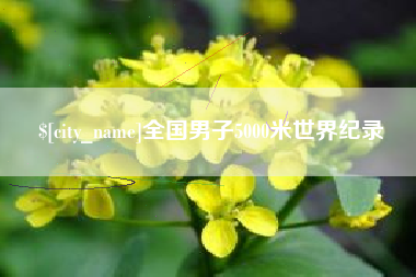 三沙全国男子5000米世界纪录