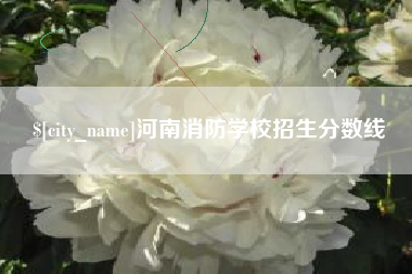 三沙河南消防学校招生分数线