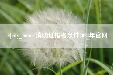 三沙消防证报考条件2024年官网