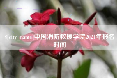 三沙中国消防救援学院2021年报名时间