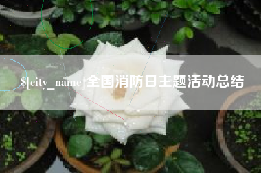 三沙全国消防日主题活动总结
