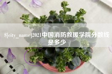 三沙2021中国消防救援学院分数线是多少